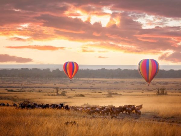 Balloon safari