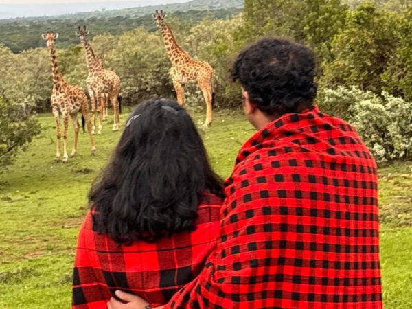 Spotting wildlife